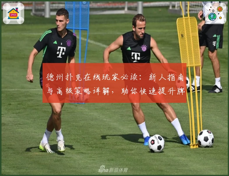 德州扑克在线玩家必读：新人指南与高级策略详解，助你快速提升牌技