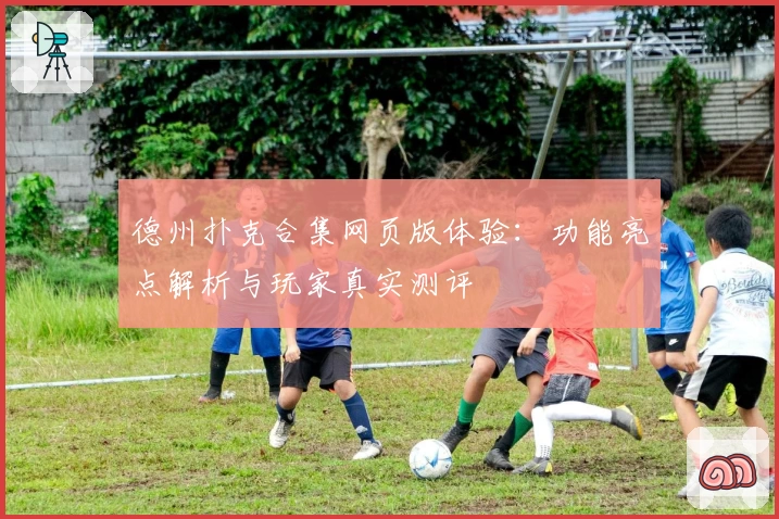 德州扑克合集网页版体验：功能亮点解析与玩家真实测评