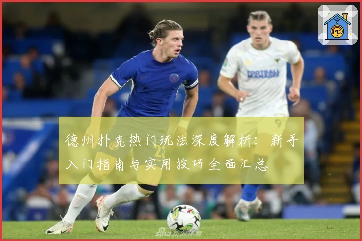 德州扑克热门玩法深度解析:新手入门指南与实用技巧全面汇总